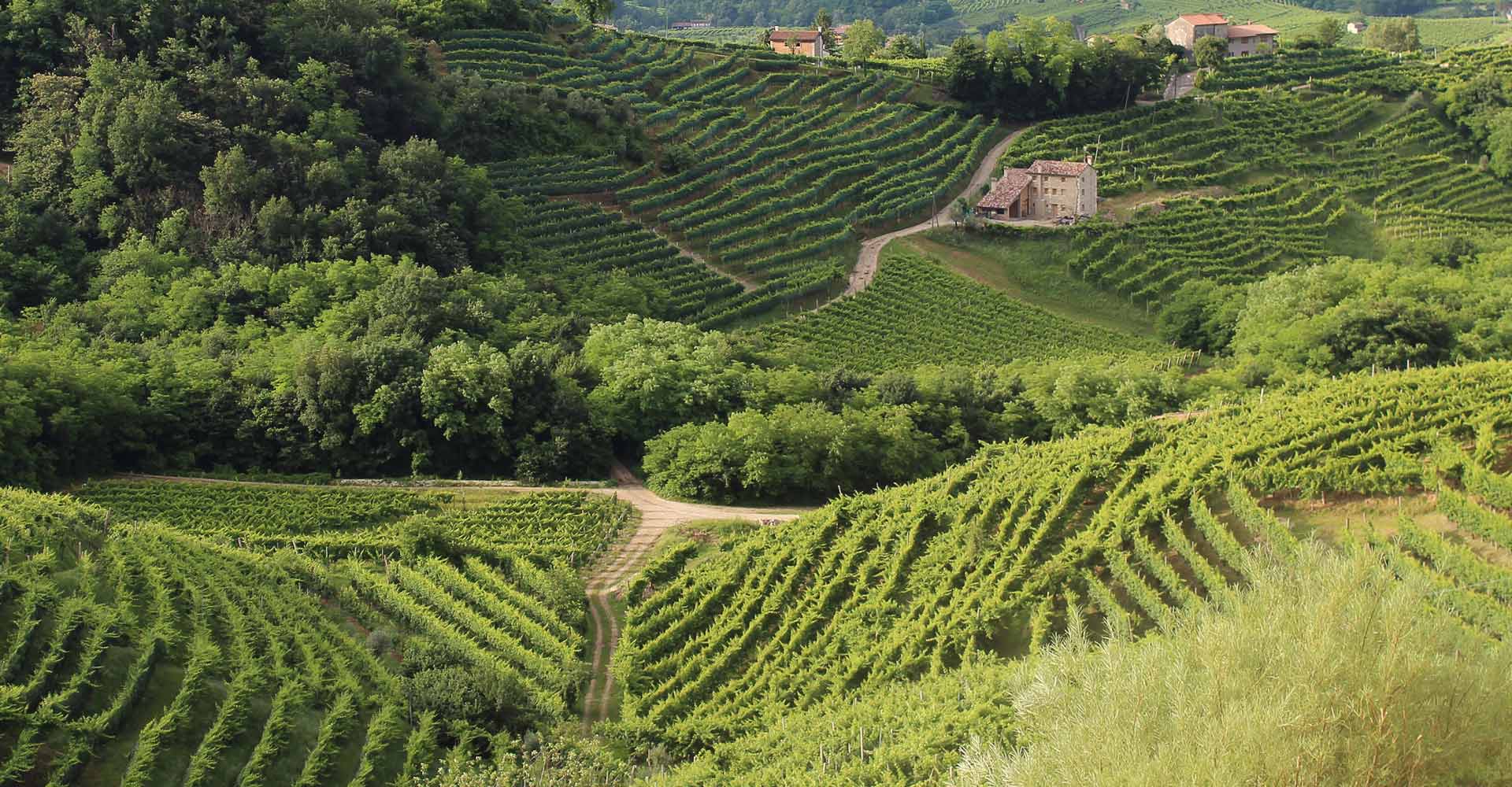 home_wine2_intro